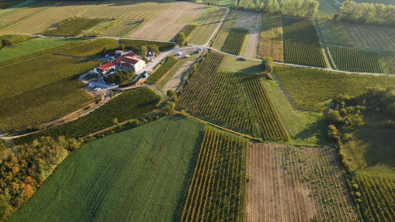 Posestvo Rouna - Winery And Apartments ヴィパーヴァ エクステリア 写真